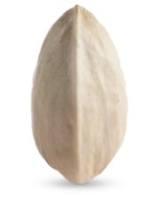 gga-pis-pistachio-closed